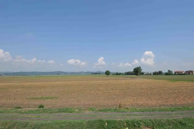 Basic Tek Kişilik Oda, 1 Tek Kişilik Yatak