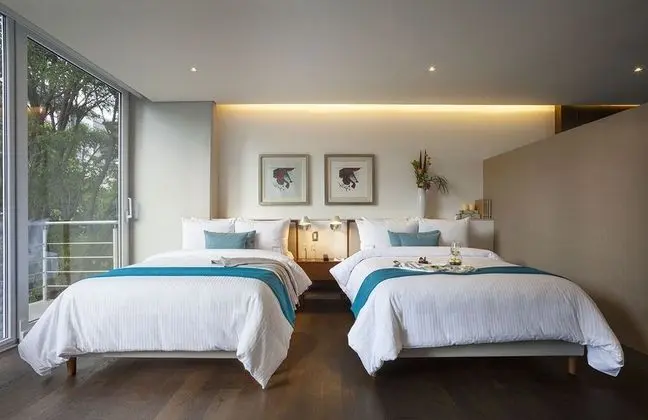 STARA SUITE