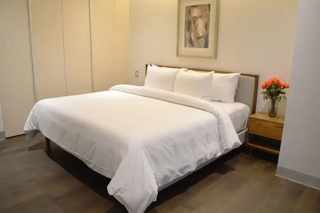 STARA SUITE