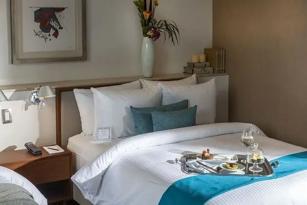 STARA SUITE