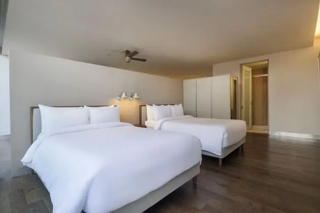 STARA SUITE