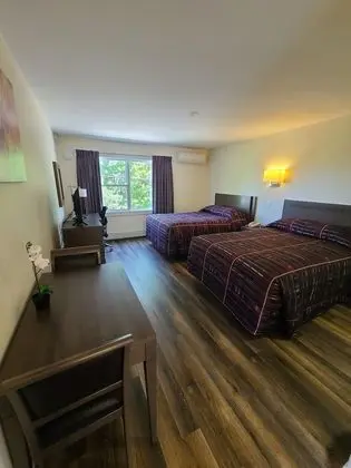 Deluxe Tek Büyük Yataklı Oda, 2 Çift Kişilik Yatak