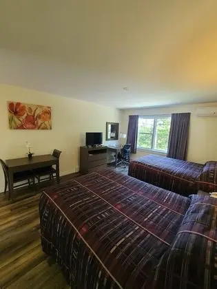 Deluxe Tek Büyük Yataklı Oda, 2 Çift Kişilik Yatak