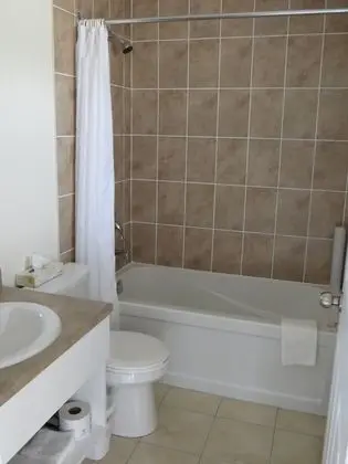 Deluxe Tek Büyük Yataklı Oda, 2 Çift Kişilik Yatak
