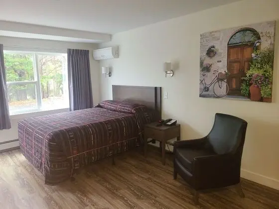 Deluxe Tek Kişilik Oda, 1 Büyük (Queen) Boy Yatak