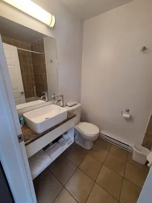 Deluxe Tek Kişilik Oda, 1 Büyük (Queen) Boy Yatak