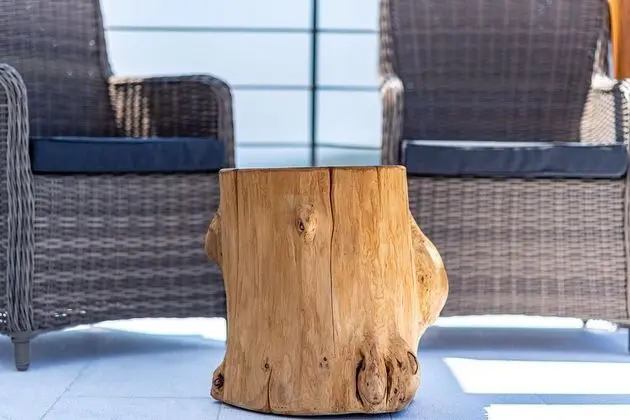 Premium Villa, Kişiye Özel Havuzlu (Villa Lyra)