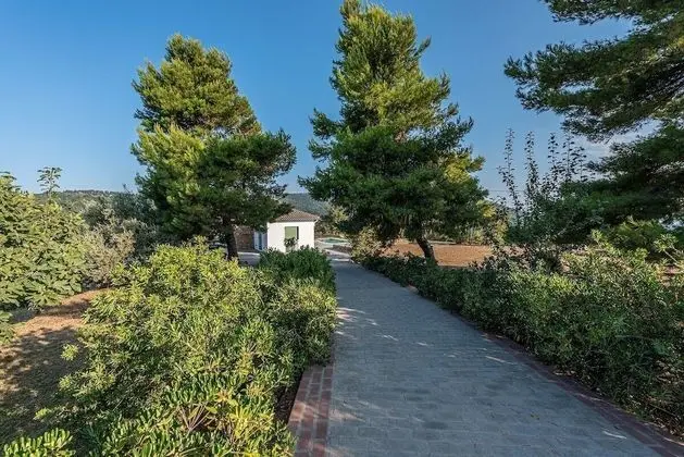 Standard Villa, Kişiye Özel Havuzlu (Villa Phoenix)