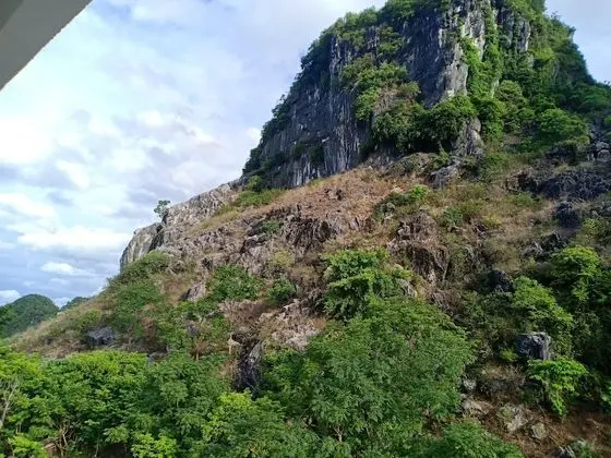 Dört Kişilik Oda, Dağ Manzaralı