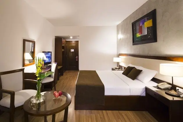 Senior Oda, Balkon, Şehir Manzaralı