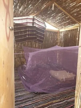 Çadır (No Bed, Mattress Only)