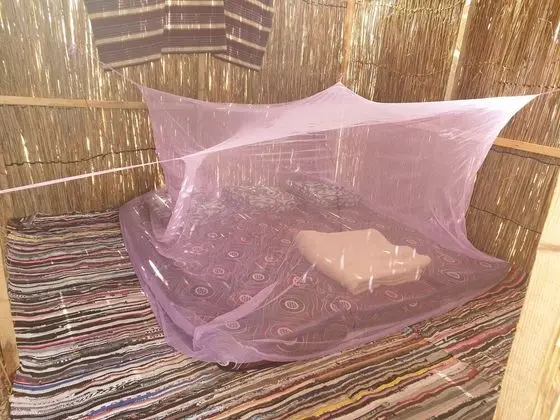 Çadır (No Bed, Mattress Only)
