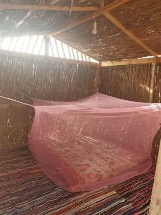 Çadır (No Bed, Mattress Only)