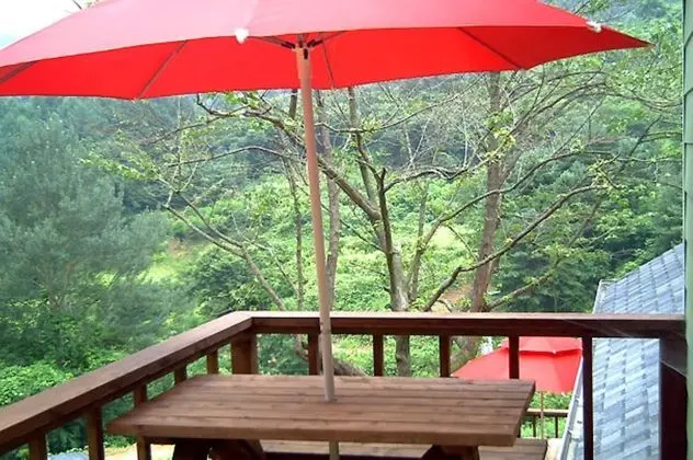 Çatı Katı Süiti (Penthouse)