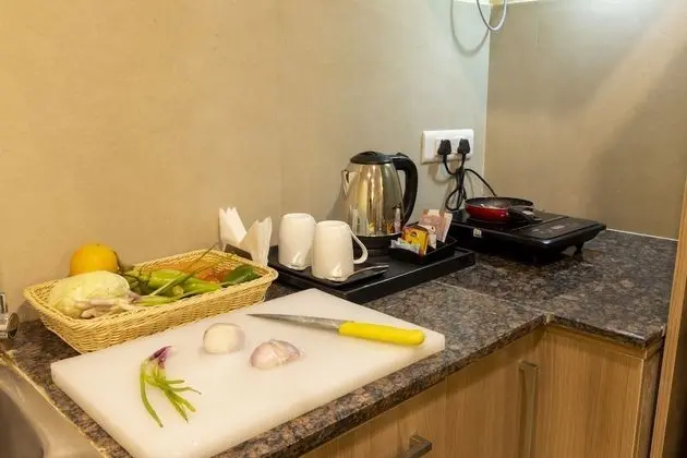 Premium Stüdyo Süit, 1 Yatak Odası, Şehir Manzaralı
