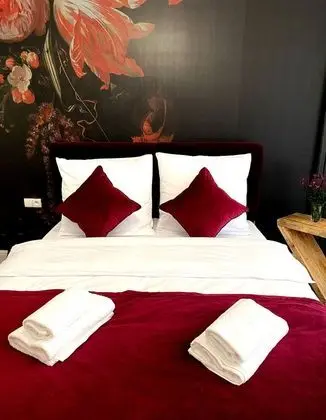 Deluxe Stüdyo Süit (25)