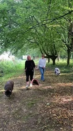 Romantic Oda, Özel Banyo (Farm animals on site)