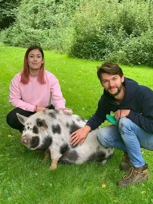 Romantic Oda, Özel Banyo (Farm animals on site)
