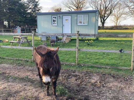 Romantic Oda, Özel Banyo (Farm animals on site)