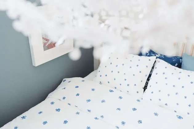 Ev (Dreams of Stars House)