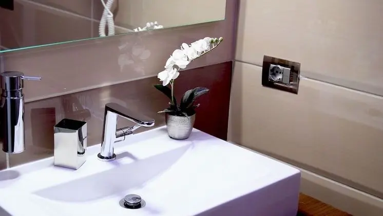 Deluxe Tek Büyük veya İki Ayrı Yataklı Oda