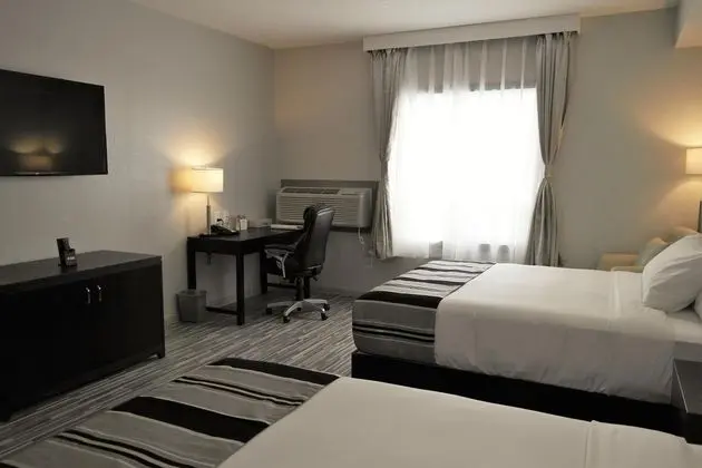 Çift ​​kişilik Two Queen Beds