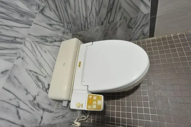 Deluxe İki Ayrı Yataklı Oda (2 Wide Single Beds)