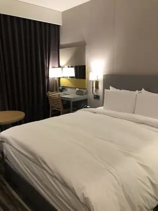 Superior Tek Büyük Yataklı Oda