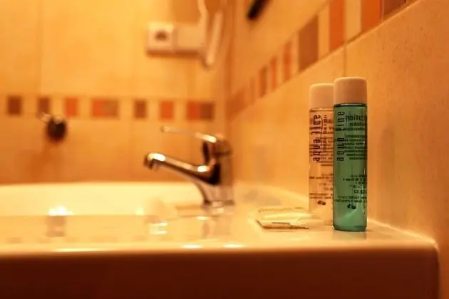 Premium İki Ayrı Yataklı Oda, Engellilere Uygun