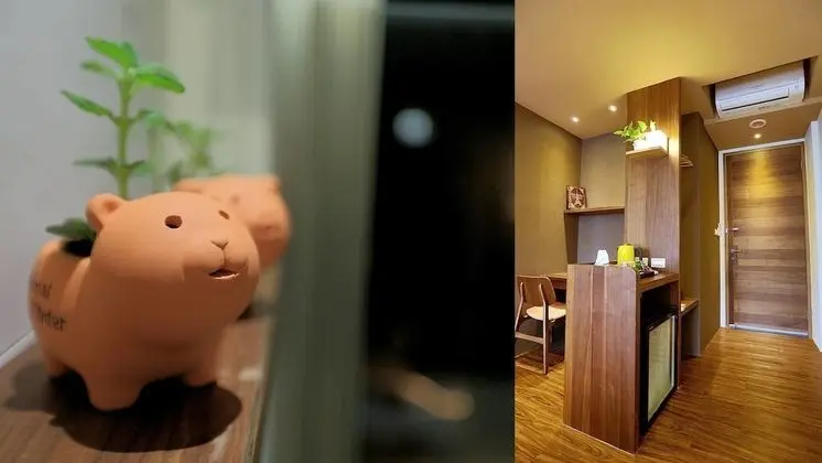 Standard Tek Büyük Yataklı Oda (02)