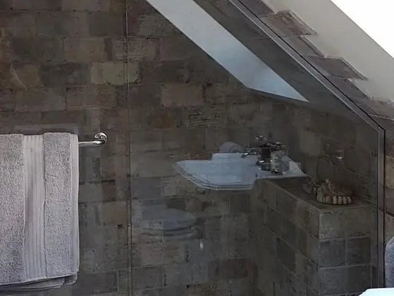 Standard Tek Büyük Yataklı Oda, Banyolu/Duşlu (with shower)