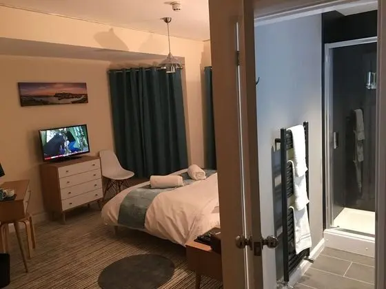 Standard Oda, 1 En Büyük (King) Boy Yatak (Room 2)