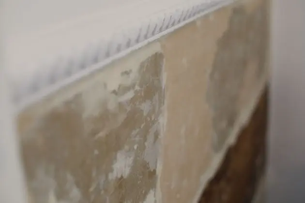 Deluxe Süit, Banyolu/Duşlu, Kule