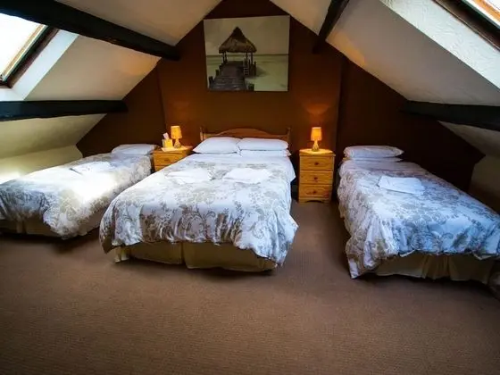 Dört Kişilik Oda, Banyolu/Duşlu (Room Only)