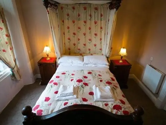 Tek Büyük Yataklı Oda, Banyolu/Duşlu (Room Only)