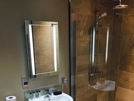 Comfort Tek Büyük Yataklı Oda, Banyolu/Duşlu (Ground Floor Room)