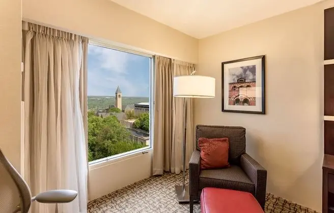 Deluxe Oda, 1 En Büyük (King) Boy Yatak