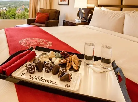 Deluxe Oda, 1 En Büyük (King) Boy Yatak