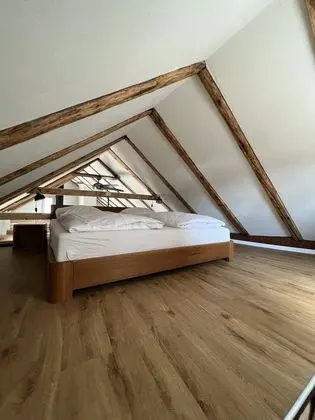 Apart Daire (Apartment Suite)