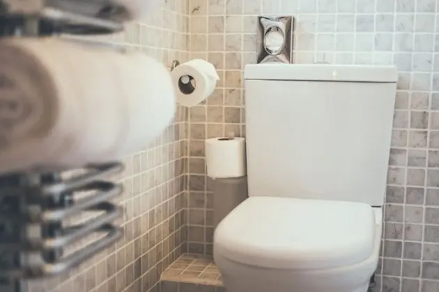 Standard Tek Büyük Yataklı Oda, 1 En Büyük (King) Boy Yatak, Sigara İçilmez (with shower)