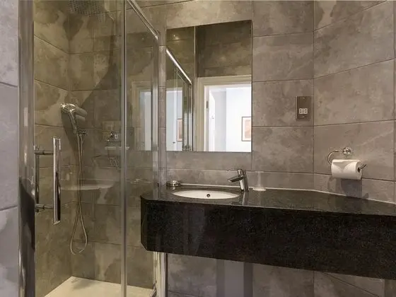 Standard Tek Büyük veya İki Ayrı Yataklı Oda, Banyolu/Duşlu