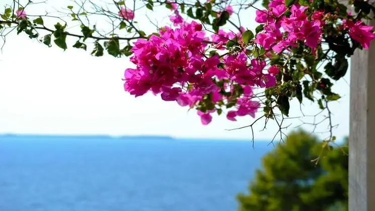 Stüdyo, Deniz Manzaralı