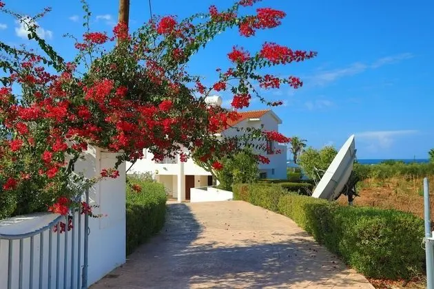 Villa, Sigara İçilebilir