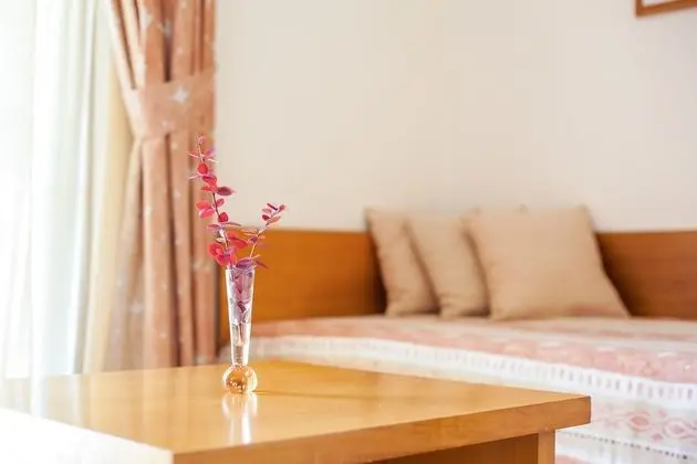 Stüdyo, Balkon, Havuz Manzaralı