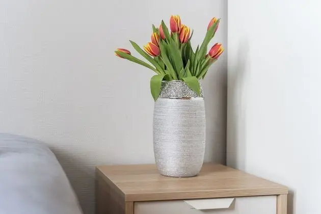 Standard Üç Kişilik Oda, 3 Tek Kişilik Yatak, Özel Banyo