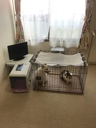 Oda (Apartment)