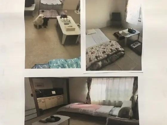 Oda (Apartment)