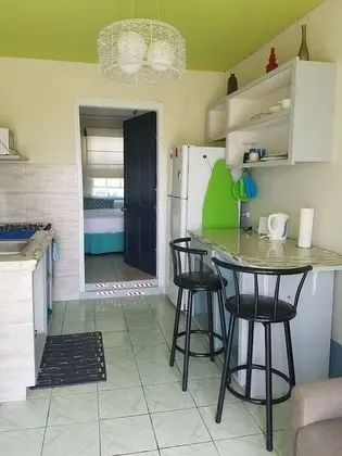 Basic Apart Daire, Bahçe Manzaralı