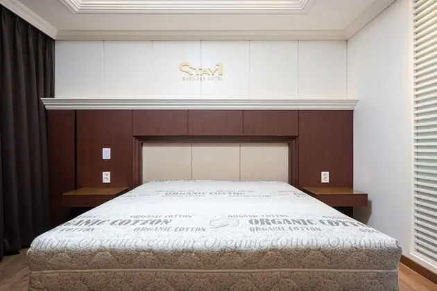 Stay Premier (Air purifier)