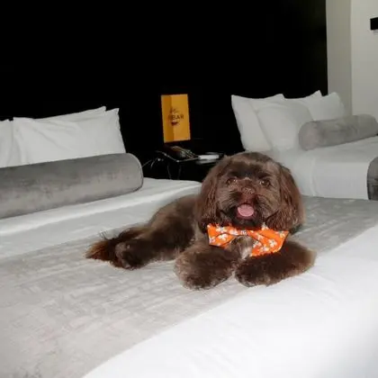 Classic Tek Büyük Yataklı Oda